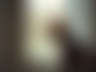 Is Pet Insurance Worth It for Your Cat?