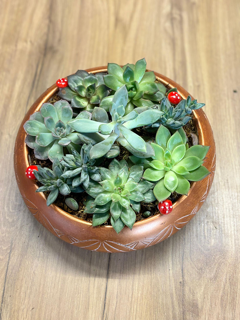 Premium Skulent Arajman