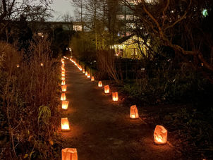 Lichtjesavond in de Botanische Tuin Kralingen