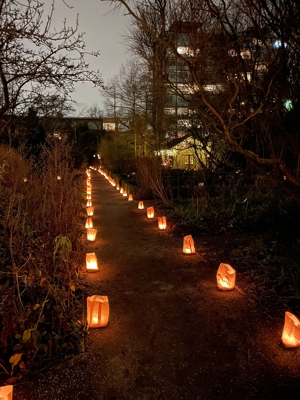 Lichtjesavond in de Botanische Tuin Kralingen
