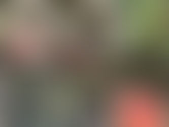 Rondleiding paddenstoelen