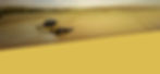 banner 01.jpg