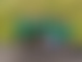 Leichtathletik-Meisterschaft in Hachenburg