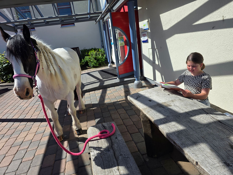 Curley wieder zu Besuch in unserer Schule