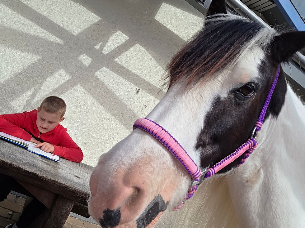 "Curley" heute in unserer Schule