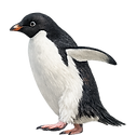 penguin4.png