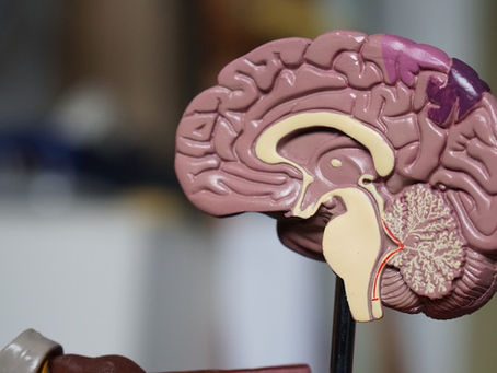 What Is a Traumatic Brain Injury (TBI) Worth in New York? Verdicts, Settlements, and What You Need to Know