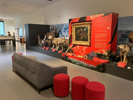 Le musée Crozatier du Puy-en-Velay