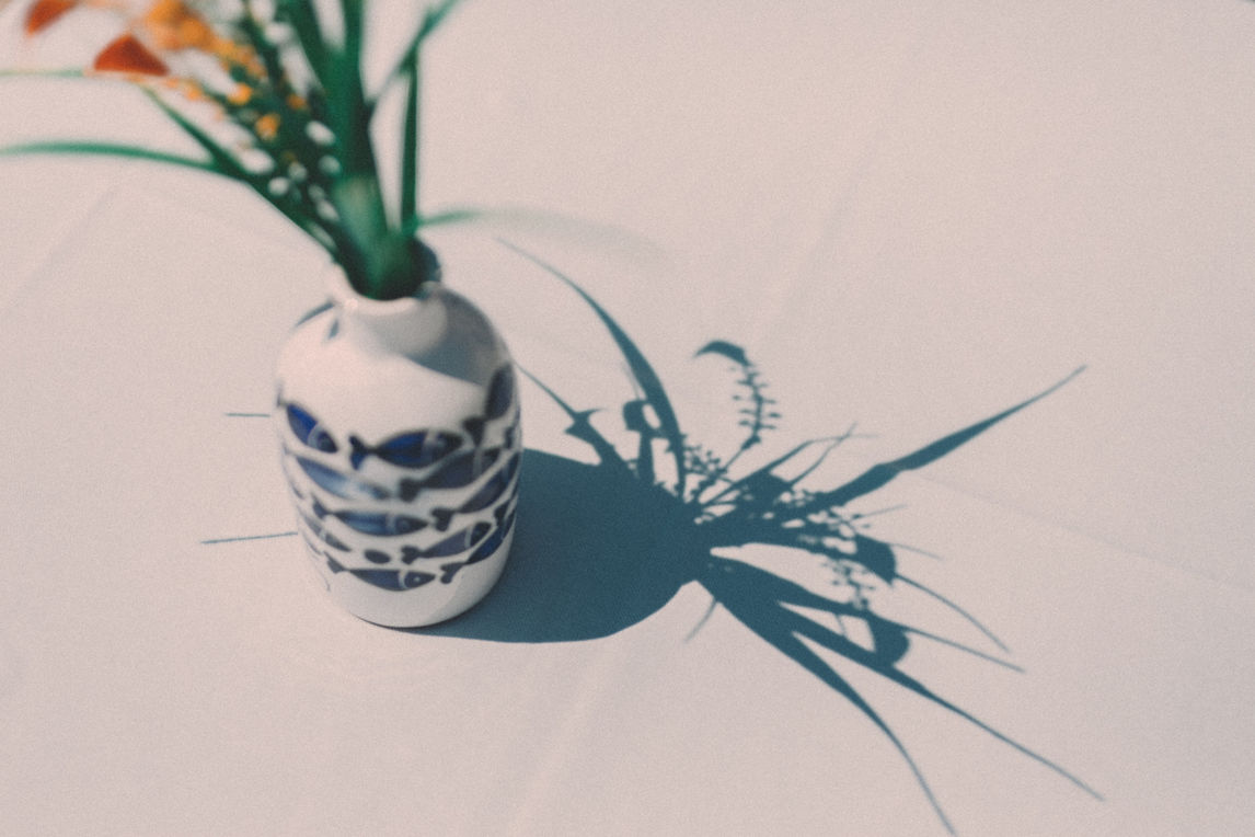 Patterned vase with flowers casting shadow