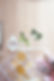 Tropicalities--166.jpg