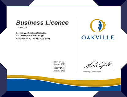 Mishko DDR licensed general contractor in Ontario