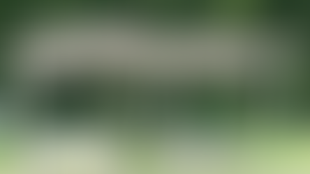 The Hunt for Brush Arbor