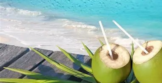 coconut beach.png