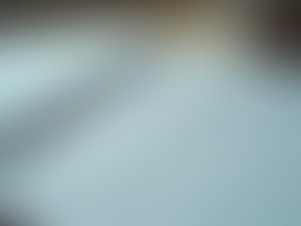 Why Professional Bookkeeping Services Elevate Business Success