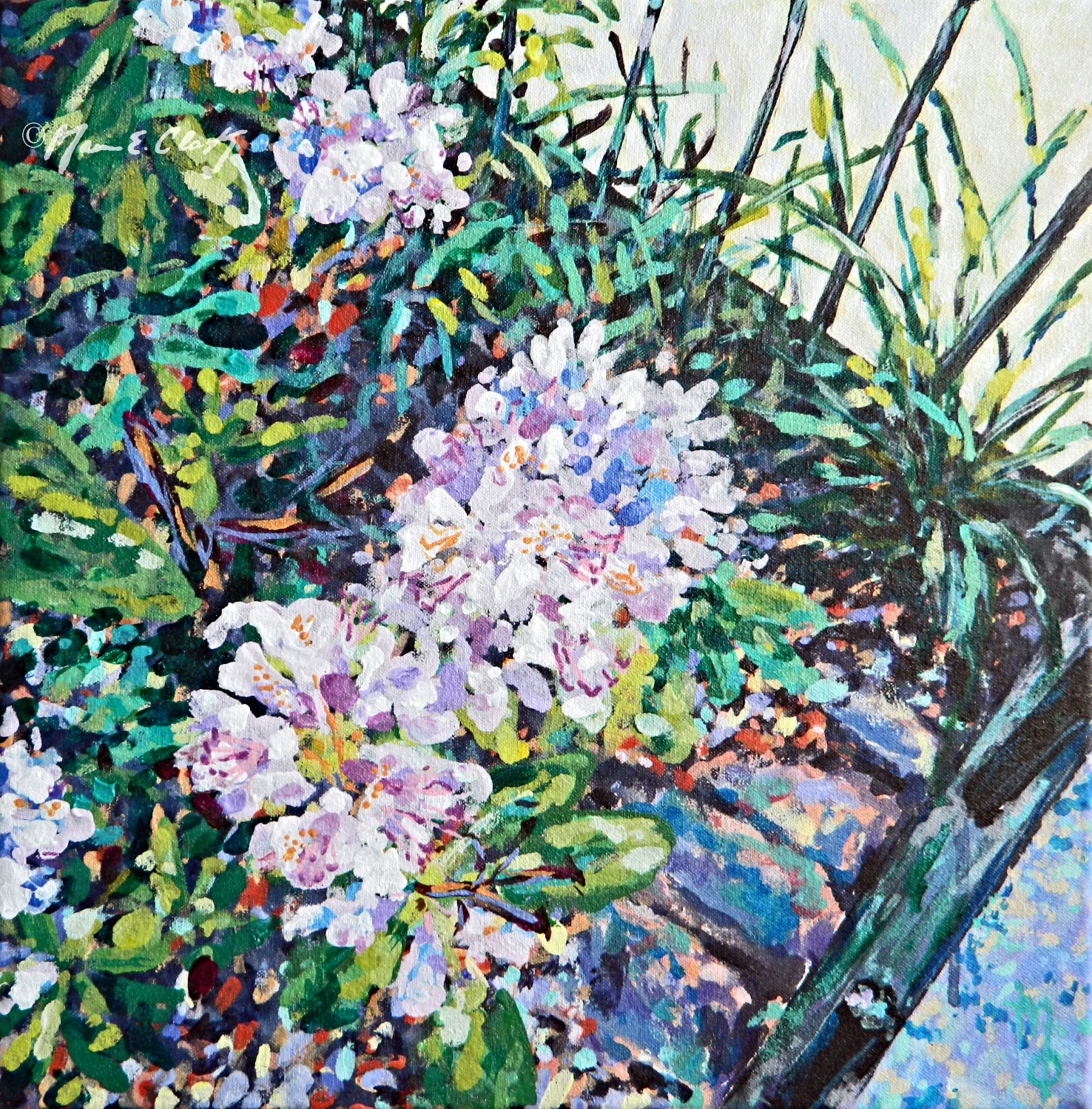 Urban Garden 3