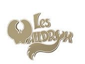 Illustration26 (4).png