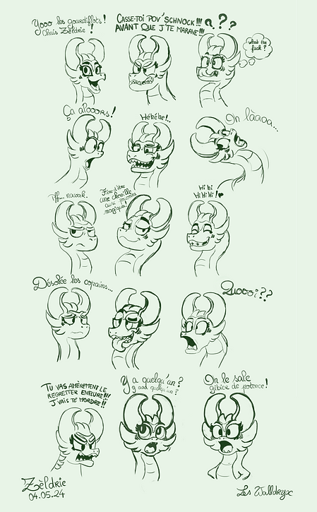 Zèldrie Expression 2b.png