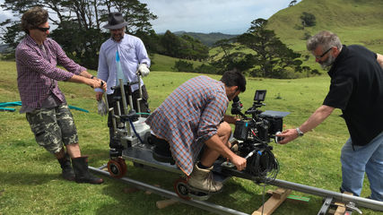 Herding Sheep for AA Life