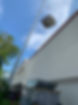 IMG_3799.jpeg