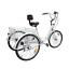 Thumbnail: Ridgayard 6 Speed 24 Inch 3 Wheel Adult Tricycle Cruise Cargo Bike with Folding