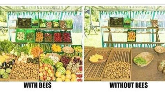 with bees without bees .jpg