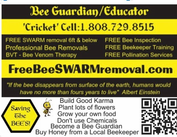 Free Bee Swarm Removal