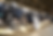DSC_0722.png