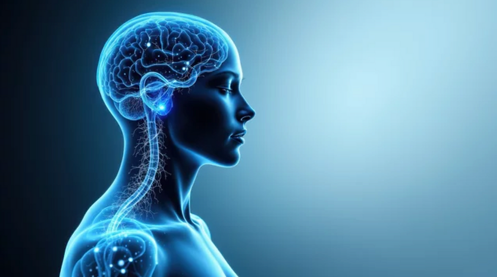 Captura de Tela 2025-11-17 às 11.44.35.png