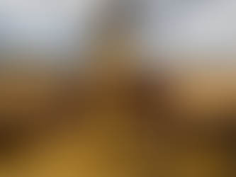 Comércio exterior do agronegócio tem saldo de US$ 9,3 bi em fevereiro