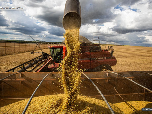 Comércio exterior do agronegócio tem saldo de US$ 9,3 bi em fevereiro