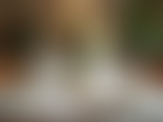 Creating Memorable Celebrations: Chic Soirees Insights