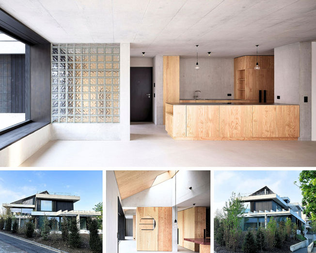 Neubau Baumanagement Projektleitung Bauleitung  Muttenz Baselland CSG Mehrfamilienhaus MFH