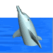 2dolfin.gif