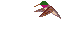 Animated-hummingbird-flying_animated.gif