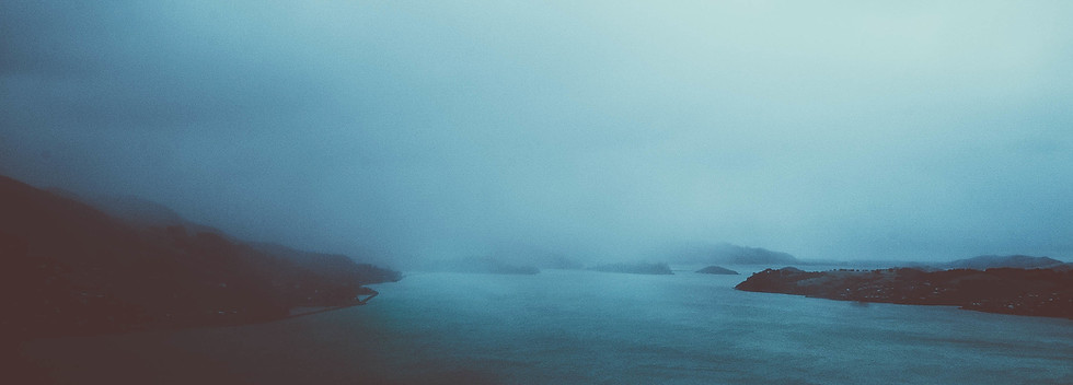 Foggy Coastal Landscape