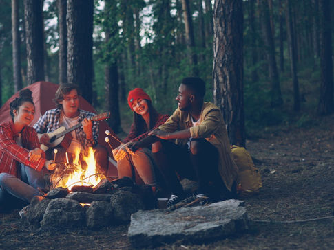 Best Budget Camping Spots at Norris Lake for Families