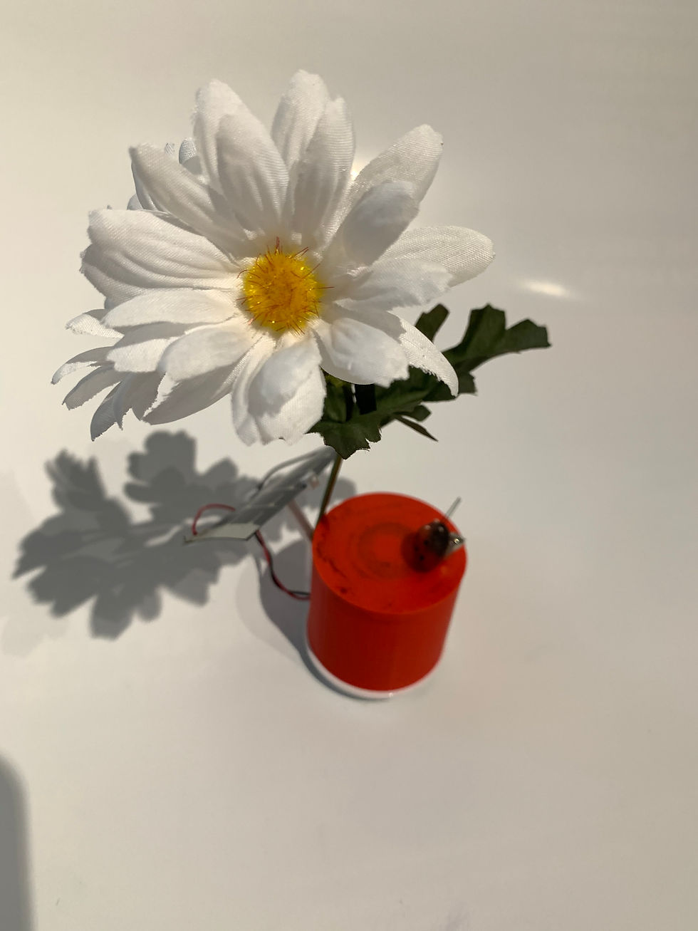 Thumbnail: CYBUG SunFlower / Flitterbug Solar Kit