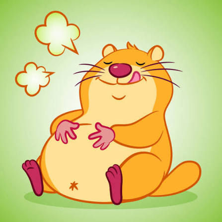 Smiling cartoon hamster sits on green background, paws on belly, with thought bubbles beside it. Symbolizing a well fed Boston jiu jitsu athlete