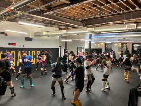 Harnessing Boxing to Track and Corral in Boston Boxing and Boston MMA