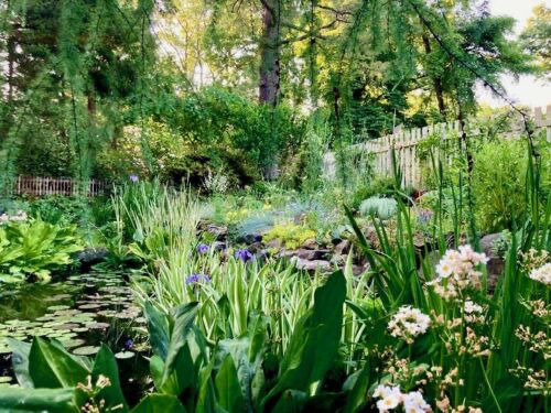 May Trip to Charles Cresson's Hedgleigh Gardens
