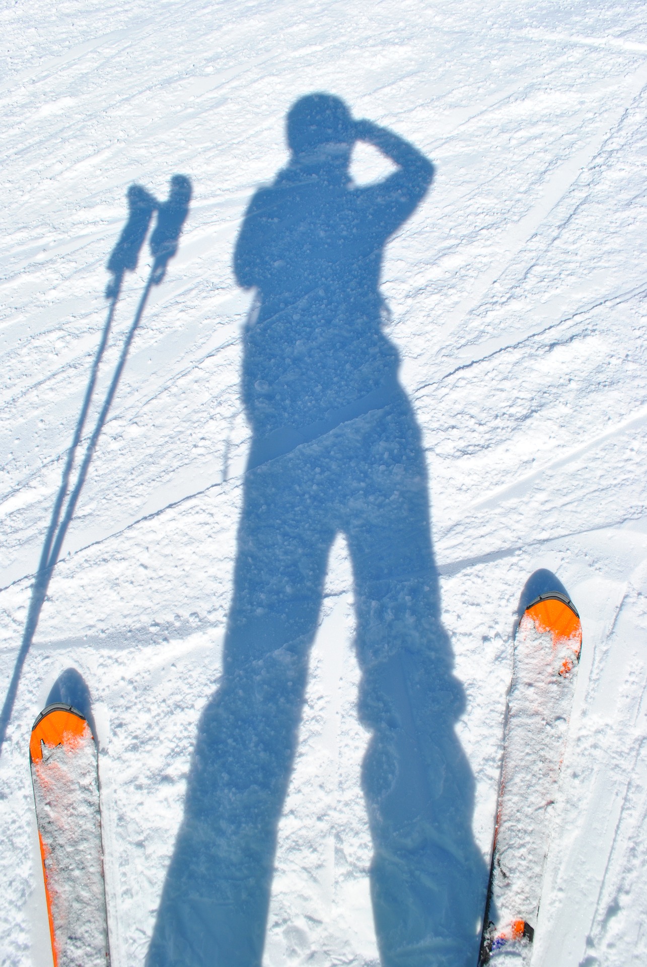 Ski de fond