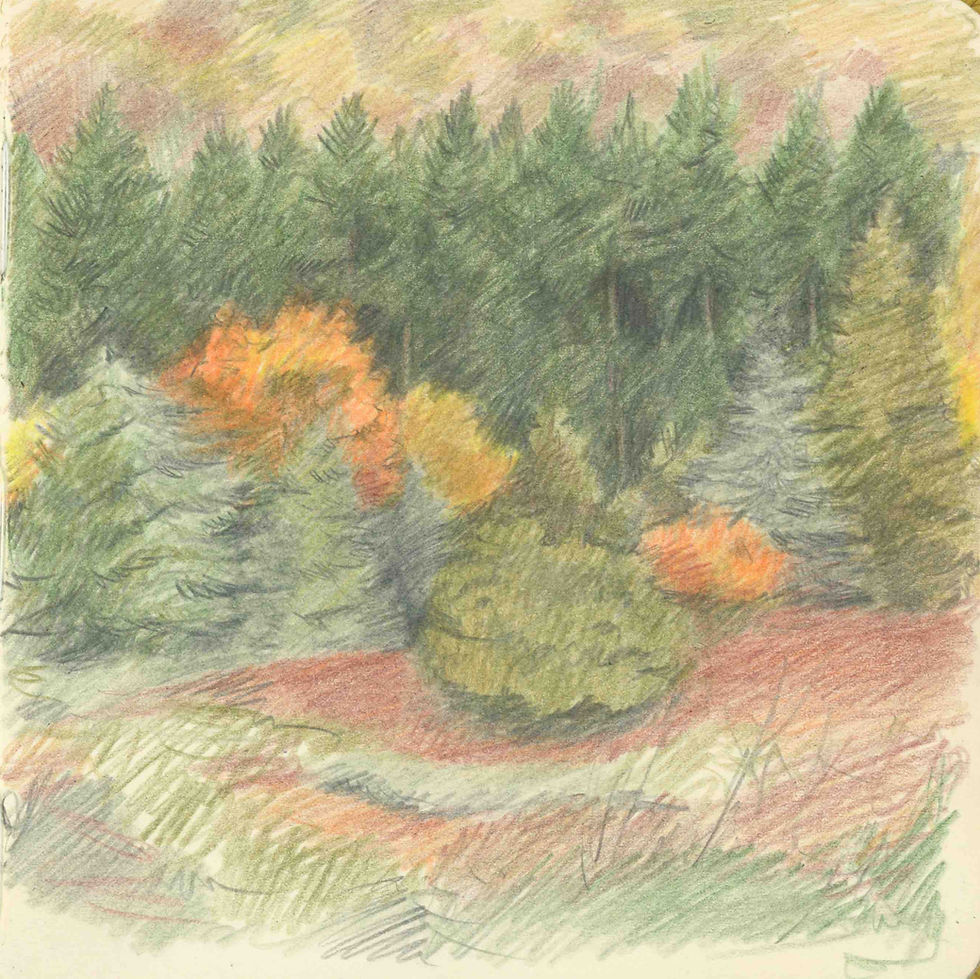 paysage41_edited