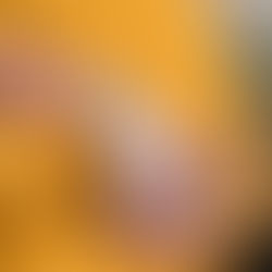 The Forbidden Truths of Life Insurance Exposed!