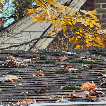 Signs It's Time to Replace Your Virginia Home's Roof