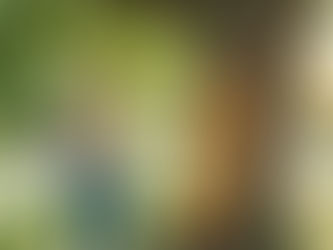 Se Libérer de la Dépression : guide holistique en 80 solutions pour retrouver votre joie.