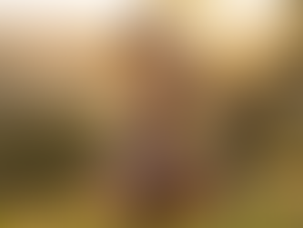 Trouver sa voie : pourquoi et comment ?