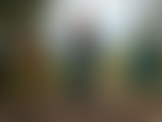 3 femmes méditent dans la forêt pour s'ancrer