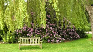 Pelouses écologiques