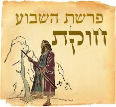 פרשת חוקת דבר תורה.jpg