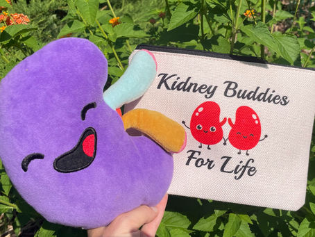 Summer is Here. And So are My Friends and Their Kidneys.